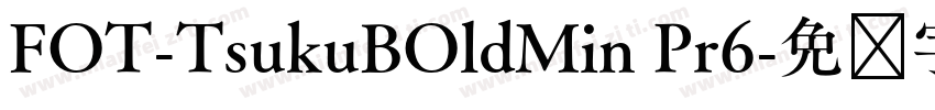 FOT-TsukuBOldMin Pr6字体转换